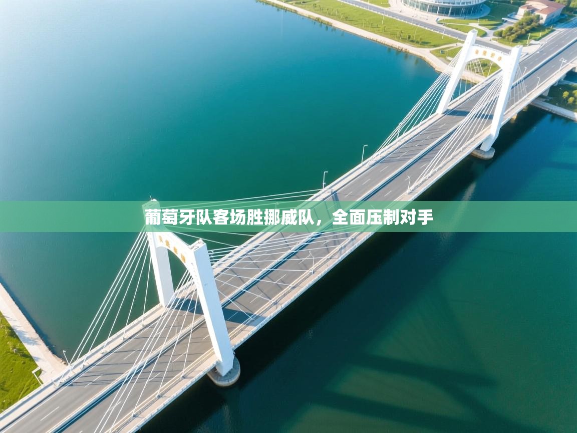 葡萄牙队客场胜挪威队，全面压制对手