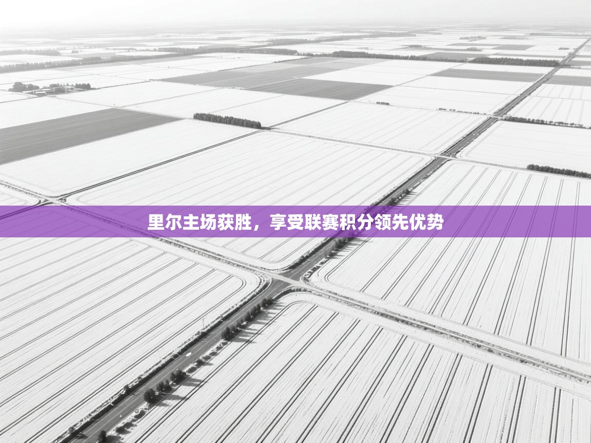 里尔主场获胜，享受联赛积分领先优势  第1张