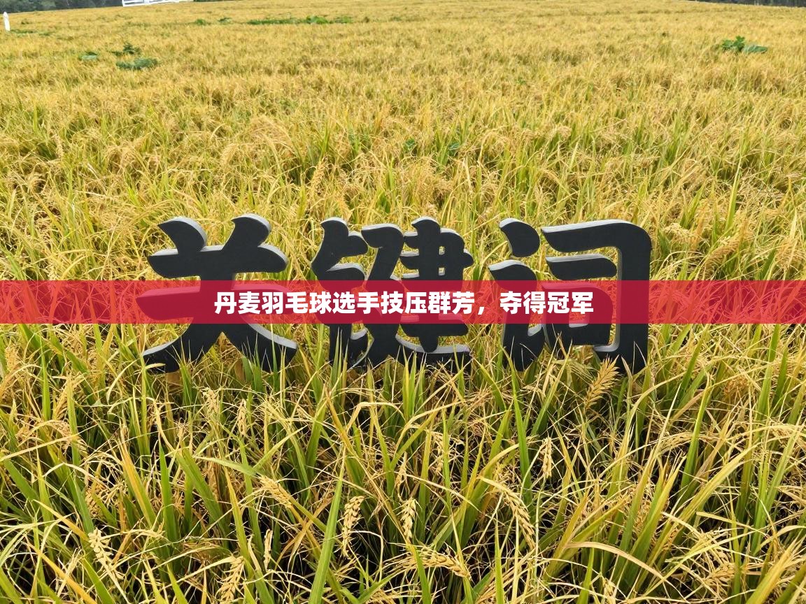 丹麦羽毛球选手技压群芳，夺得冠军  第2张