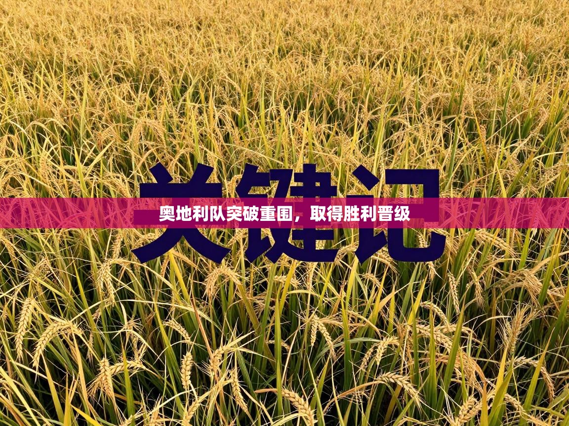 奥地利队突破重围,取得胜利晋级 第1张