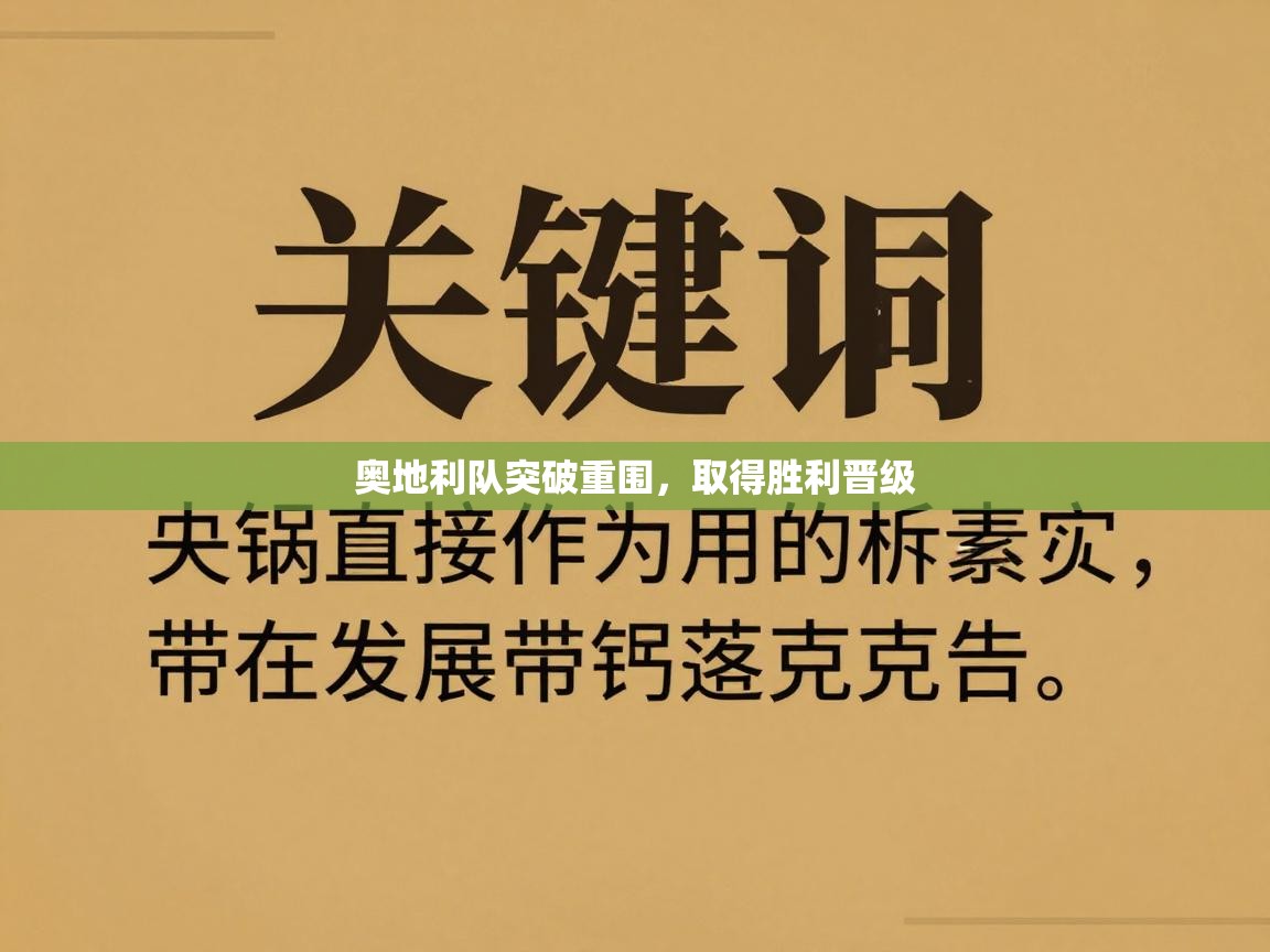 奥地利队突破重围,取得胜利晋级 第2张