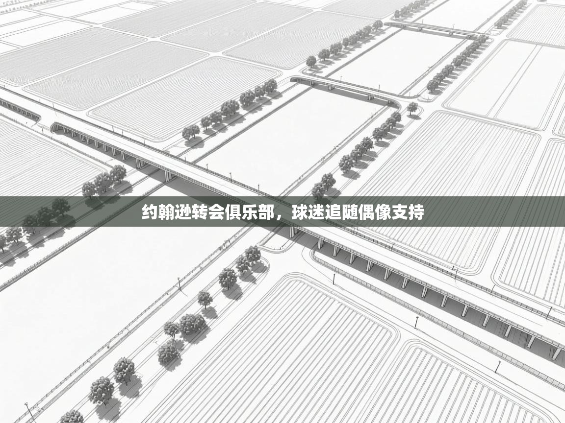 约翰逊转会俱乐部，球迷追随偶像支持  第1张